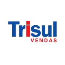 FORÇA DE VENDAS Em 2009, a equipe Trisul Vendas foi responsável por 31% das Vendas Contratadas da Companhia (parte Trisul). A Trisul Vendas encerrou o ano de 2009 com 213 corretores.