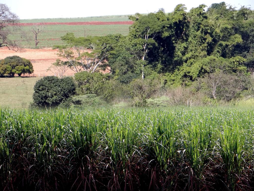 Serviços de Ecossistema - Realização de análise de solo em 1.