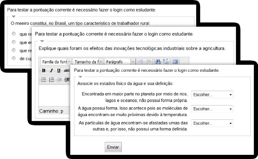 A ferramenta apresentará a primeira página de sua lição. Caso seja um painel de navegação, não haverá dificuldade em seguir para as demais páginas da lição.