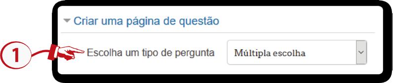 13. Adicionar página de questões Ao adicionar uma página de questões é necessário escolher um tipo de pergunta entre as disponíveis: Associação, Dissertação, Múltipla Escolha, Numérico, Resposta