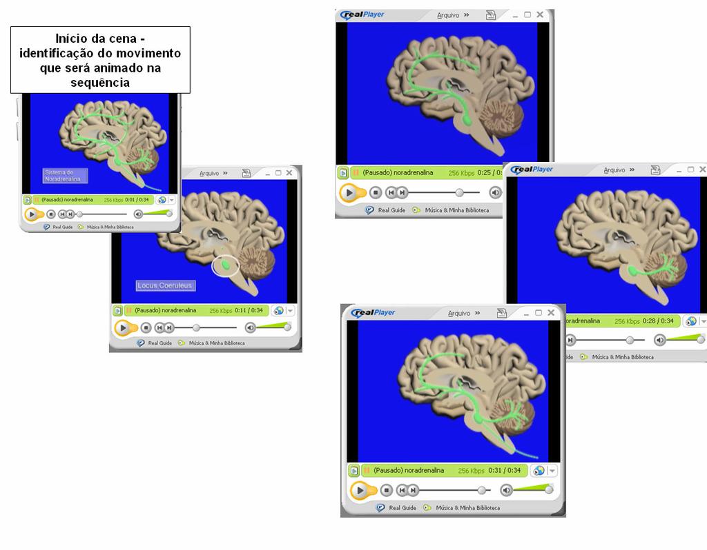 Descrição e análise das imagens, suas características em termos de linguagem audiovisual e sua intenção didática, em termos de representação do conteúdo.