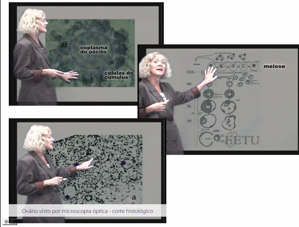 -chroma key com edição de de legendas em imagens estáticas: 0'52" 2 18-2'56" - Descrição e análise das imagens, suas características em termos de linguagem audio-visual e sua intenção didática, em