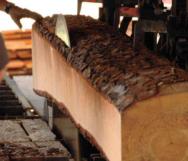 2. Processamento da madeira e seus produtos Processamento de toras e peças e defeitos Usinagem da