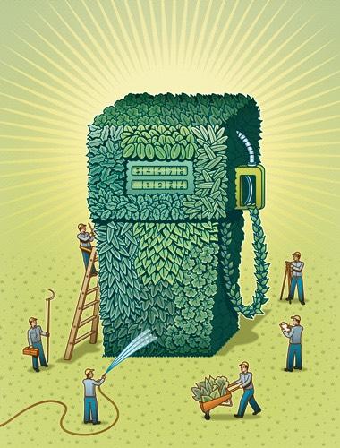 PROPOSTA DE VALORES Agregar valor ao biogás produzido em propriedades rurais de qualquer porte, pelo upgrade a biometano.
