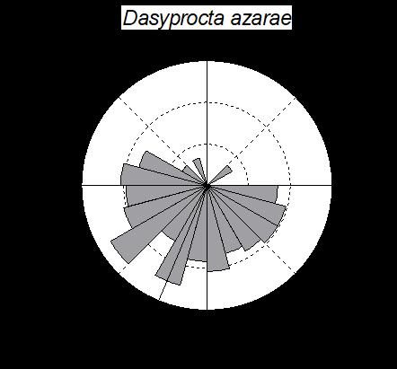 41 e Sus scrofa (Figura 6); noturno: Dasypus novemcinctus (Figura 7); predominantemente noturno Leopardus wiedii (Figura 8); arrítmicos: Cerdocyon thous,