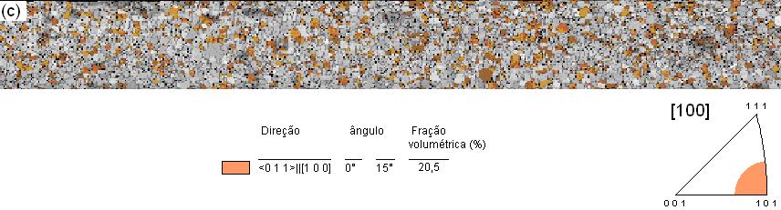fibra Abbruzzese et al., 1986; Lee e Szpunar, 1996) As figuras 6.8(a) e (b) ilustram a predominância de grãos da fibra sobre os demais. As figuras 6.9 a 6.