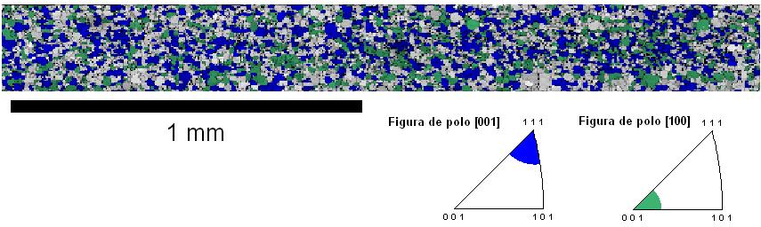 O software TSL OIM Analysis possibilitou também a elaboração de mapas de grãos pertencentes às principais fibras de interesse com um determinado desvio de orientação.