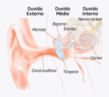 ESTADO DA ARTE Figura 2.9 Estrutura do ouvido humano. Fonte: Acústica Médica (2017). É possível observar as três partes do ouvido e seus constituintes através da Figura 2.9. O ouvido humano pode captar sons a partir de 10 db ou 15 db, em um grau normal, podendo atingir até os 80 db ou 90 db sem afetar a audição.