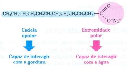 PROPRIEDADES DOS COLÓIDES Interação da água e gordura com o detergente para formação do colóide Os