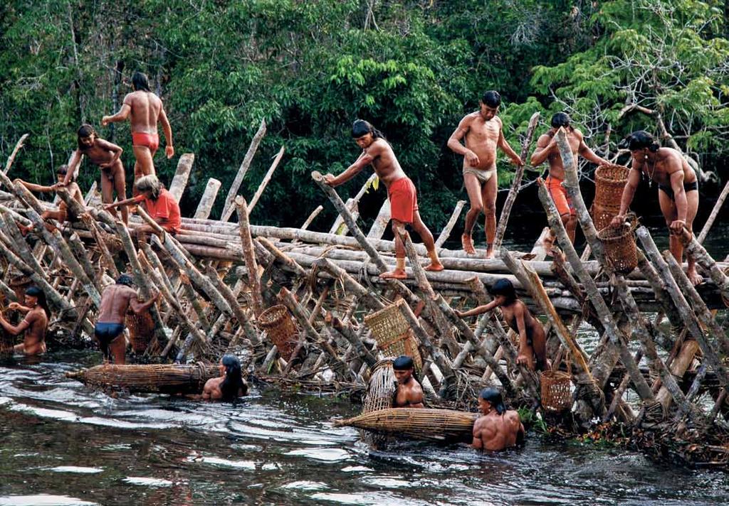 April 2009 Traditional fishing dam by the Enawenê-nawê people, built for the ãkwa, the most extensive Indigenous ritual cycle in the Amazon, registered as a national heritage by the Ministry of