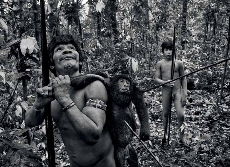 Junho 2013 Txiparamanxa á, acompanhado por seu filho Kiripí, caçou um macaco guariba na floresta da Terra Indígena Caru, noroeste do Maranhão.