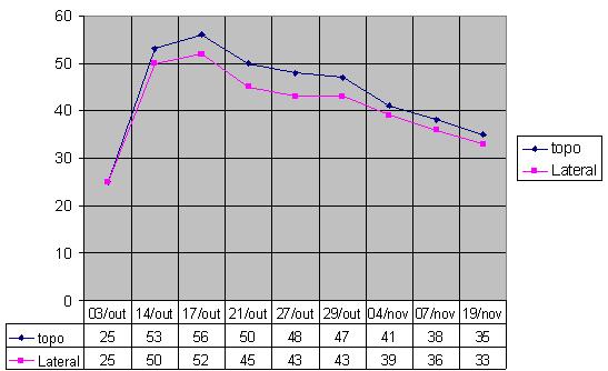 Figura 9: Evolução da temperatura na leira 1. Figura 10: Evolução da temperatura na leira 2.