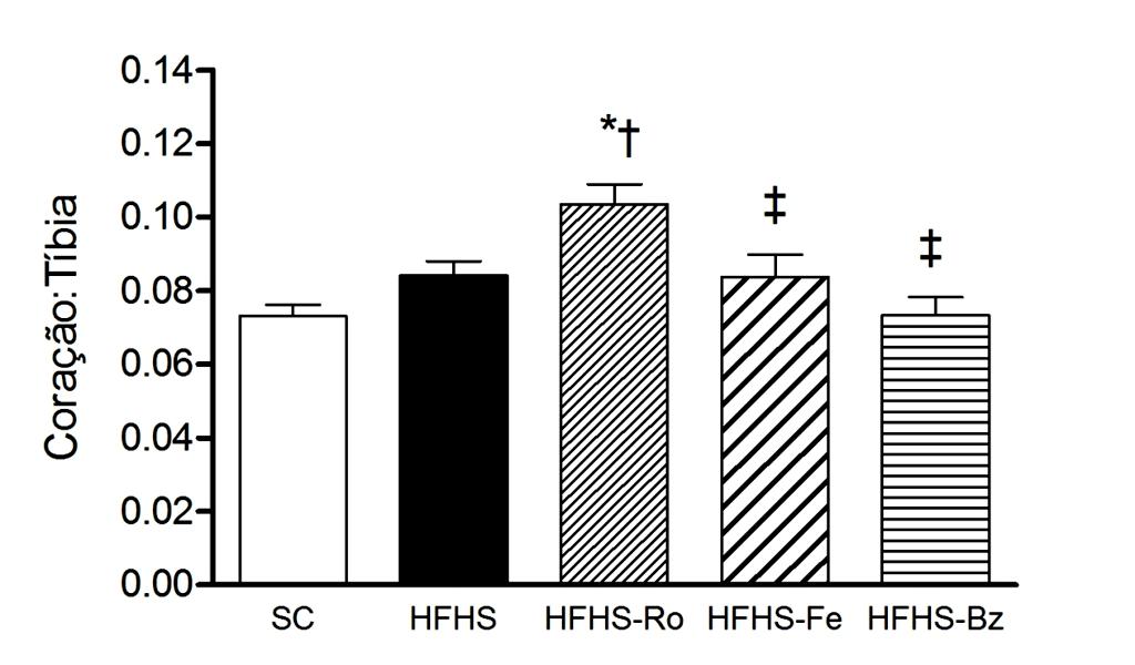 64 4.5 Coração A dieta HFHS não induziu hipertrofia cardíaca (Fig. 12).