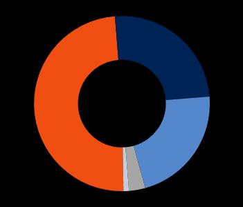 Política de Investimentos Direcionada pelo ALM Estratégia de investimentos