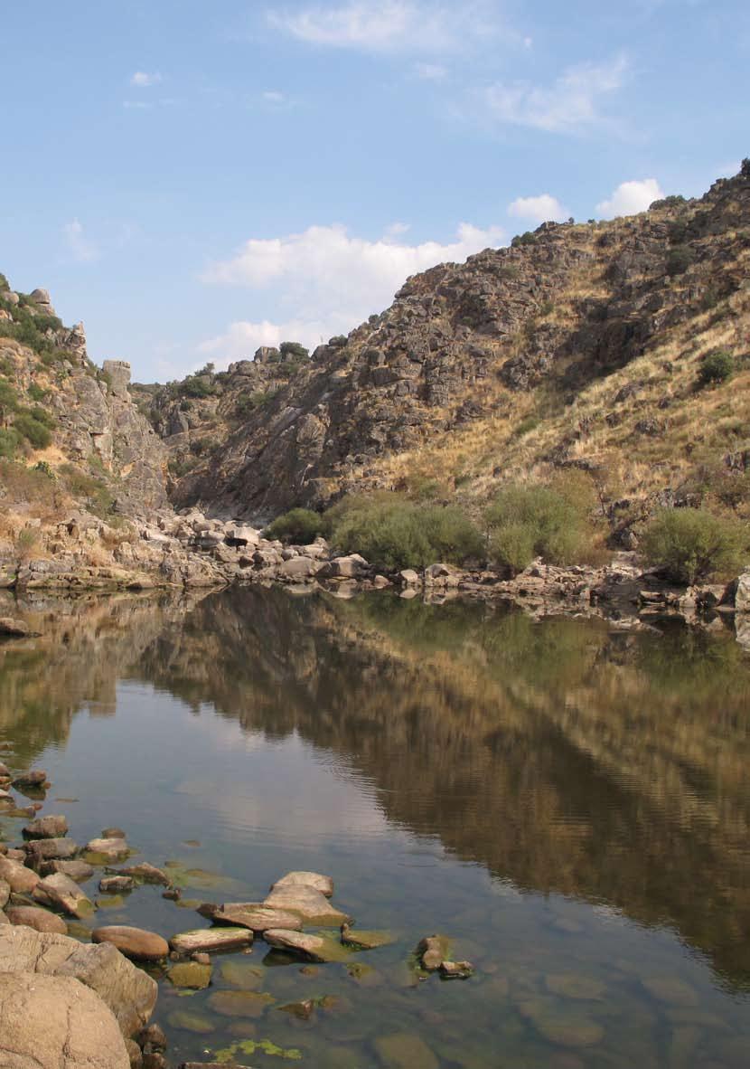 Conservação da Natureza trilho percorrem-se 600 metros (entre o CIB e a margem do rio Erges) observações Levar binóculos Saída de Campo L Bio e Geodiversidade do Canhão Fluvial do Erges Segura