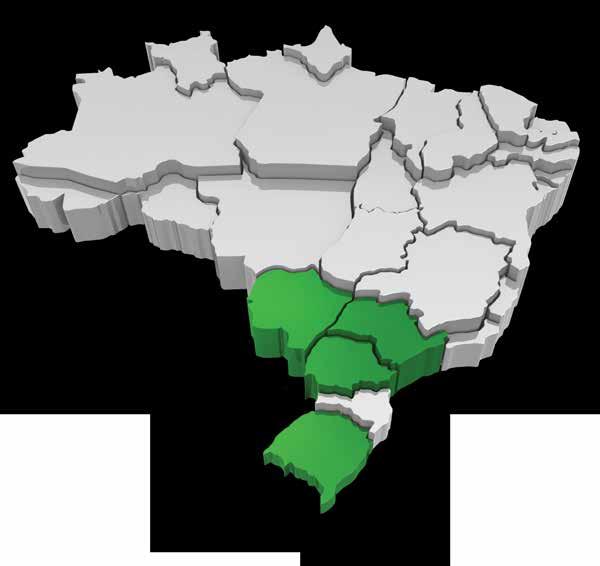 ABRANGÊNCIA NACIONAL No Brasil, o capim-massambará foi introduzido