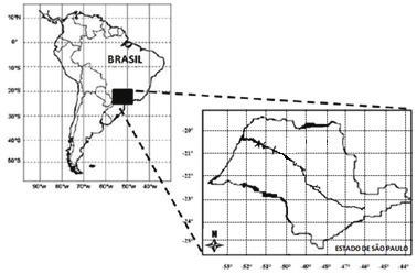 4 Atualmente o Brycon orbignyanus está na lista de peixes que correm o risco de extinção, apresentando uma redução drástica dos seus estoques naturais (Rosa & Lima, 2008).