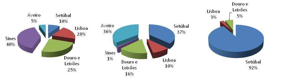 A sua capacidade polarizadora transformou-os em centros de concentração de actividades de valor acrescentado e de emprego, afirmando-se como pólos de desenvolvimento e dando um contributo