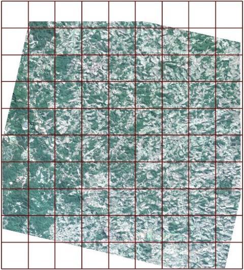 4 RESULTADOS Após a coleta dos pontos de checagem, calculou-se as discrepâncias planimétricas (Figura 5 e Figura 6), e, em seguida, obteve-se as estatísticas descritivas da amostra de discrepâncias