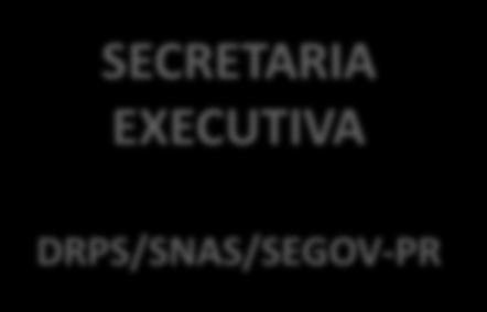 ORGANIZADORA SNAS/SEGOV-PR COMITÊ