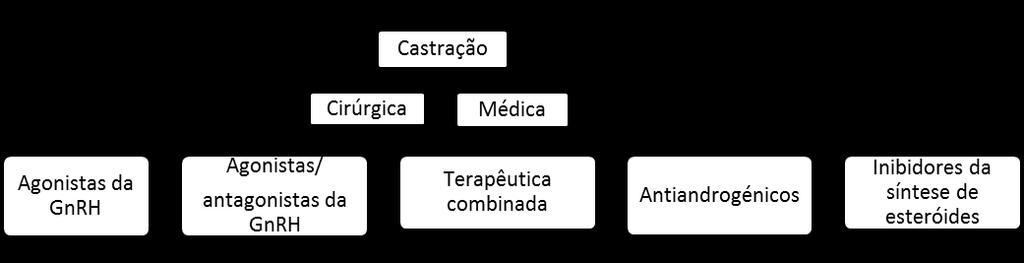 Segunda linha (pós-docetaxel) Abiraterona Cabazitaxel Enzalutamida Radio-223 1.