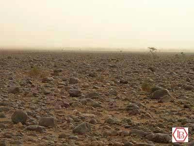 DESÉRTICO Regiões do Deserto a) Deserto Rochoso