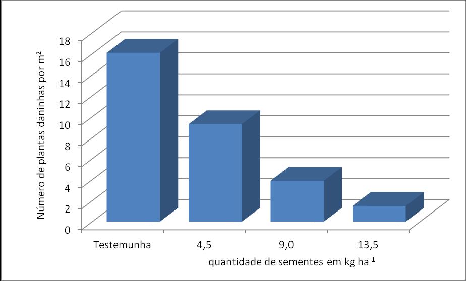 O campo onde os resultados da implantação e desenvolvimento da B.