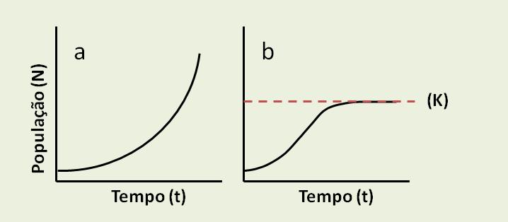 APLICAÇÃO: MODELOS DE