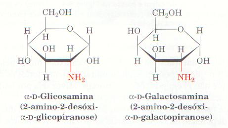 MONOSSACARÍDEOS Algumas moléculas são derivados de açúcares e fogem a fórmula geral dos carboidratos
