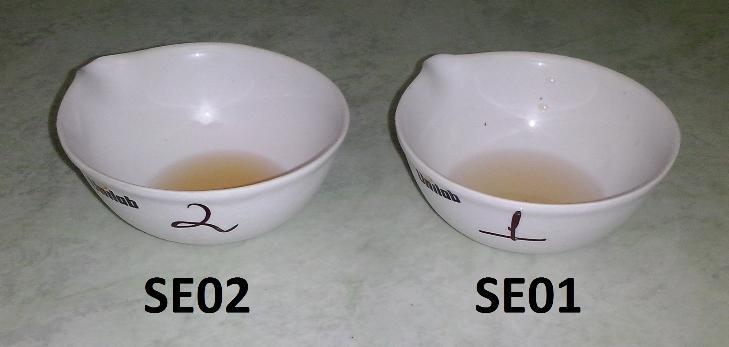 Tabela II. Características organolépticas dos chás de sene (SE) e Cáscara sagrada (CS).
