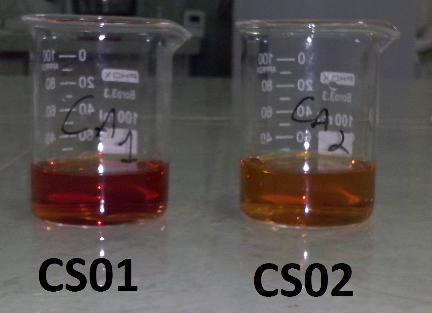 As amostras de cáscara sagrada, no teste de corte transversal apresentaram colorações avermelhadas semelhantes no primeiro teste de identificação (Figura IIA), entretanto