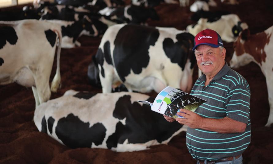 São mais de 40 anos de atividade na pecuária leiteira e 60 vacas em lactação, utilizando sistemas semiextensivo e a pasto.