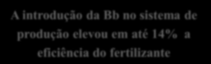 Inclusão de Braquiária no Sistema kg de grãos/kg de fertilizante 25 20 15 10 5 0 Eficiência no uso do fertilizante 19,51 17,07 12,51 11,17 A introdução da Bb no