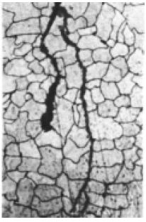 Figura 6 Corrosão intergranular ou intercristalina. 1.2.5.