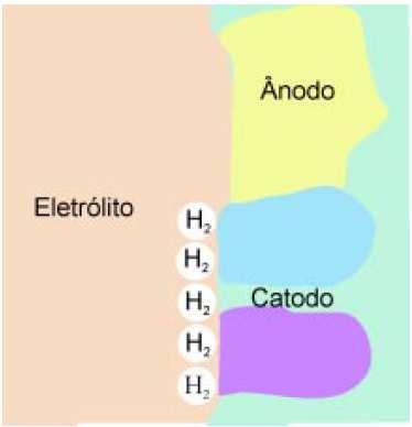 A reação anódica, em todo processo de corrosão, é a oxidação de um metal, que resulta em seu íon.