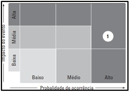 Administração Pública Gestão de Riscos Prof.