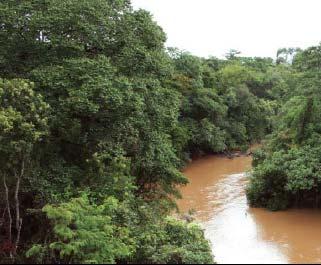 Bacias com maior porcentagem de área natural tem maior