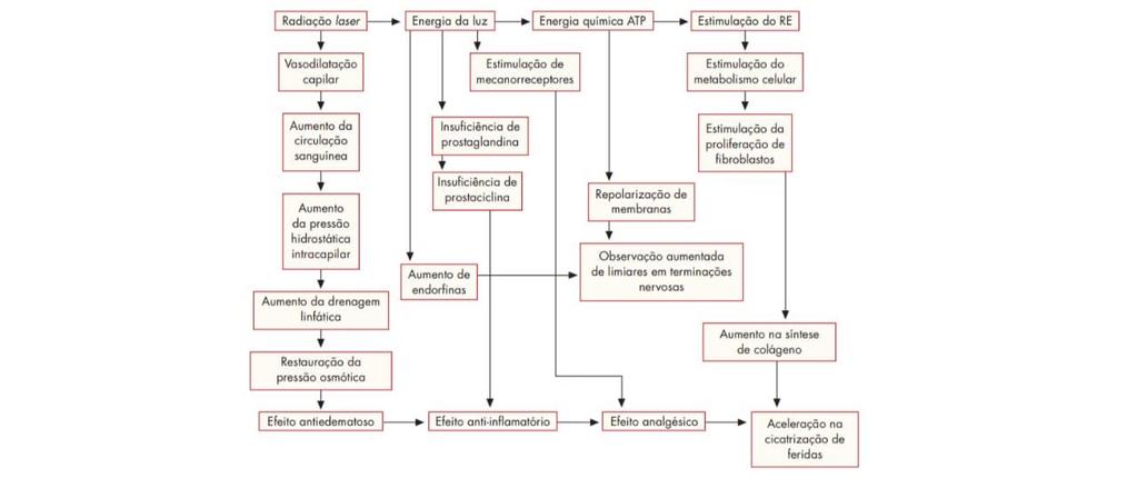 Muitos trabalhos estão evidenciando o uso da laserterapia na cicatrização de feridas, na diminuição e até extinção de tumores, nos processos de cicatrização, na eliminação de manchas, no tratamento