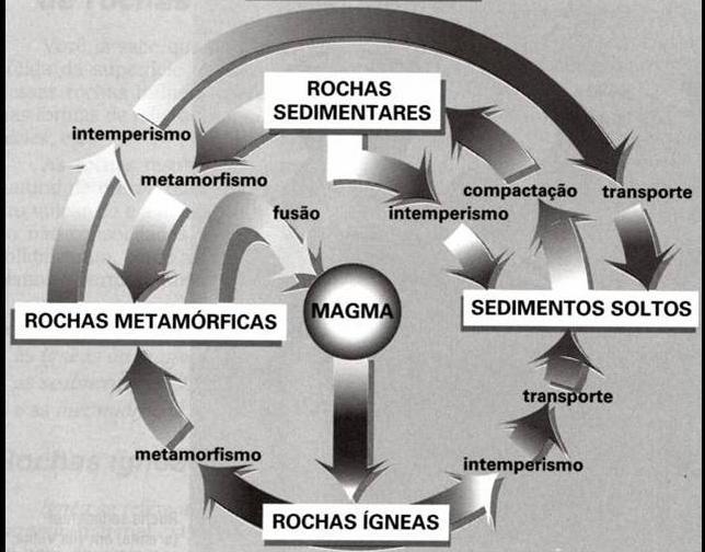 O Ciclo