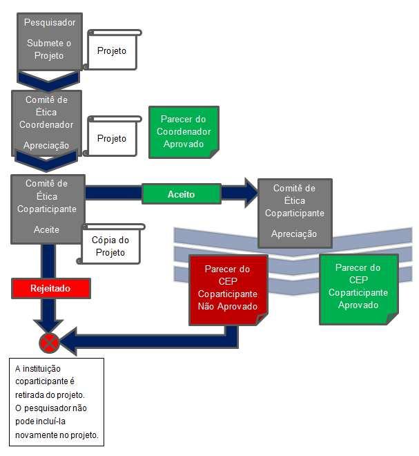 FIGURA 1 - FLUXO DE PROJETOS EM