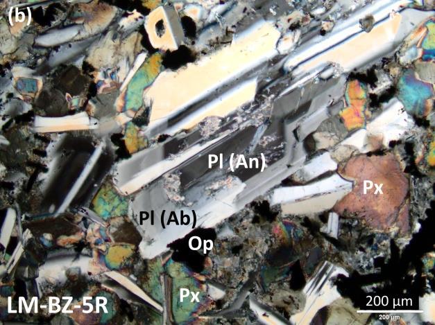 Os minerais da matriz, por sua vez, são geralmente frescos. Análises em MEV e EDE não puderam ser realizadas em função de efeitos de carga nas lâminas delgadas, cuja causa não foi investigada.