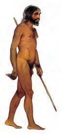 Australopiteco Homo Erectus Homo Sapiens Homem moderno Fig.