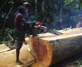 O continente africano sofre nos dias de hoje a mais exagerada extracção dos seus recursos naturais, provocando uma alteração do seu meio ambiente.