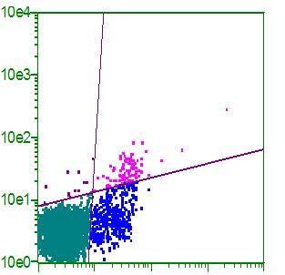 B Controle STP 100ng/mL STP 200ng/mL A Viável Apoptose inicial 100 Apoptose tardia Necrose 2.77 ± 0.38% 0.27 ± 0.06% 0.72 ± 0.06% 0.07 ± 0.04% 0.80± 0.18% 0.25 ± 0.