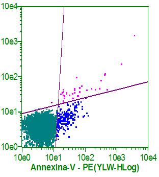19% Necrose 0.22 ± 0.08% 50 número de células (%) 48h 48h 11.12± 1.92% 4.29 ± 0.27% 2.32 ± 0.17% C 100 200 0 STP Viável Apoptose inicial 100 Apoptose tardia 3.32 ± 0.22% Necrose 0.42 ± 0.04% 1.07 ± 0.