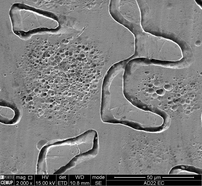 Figura 64 - Micrografia em MEV da amostra