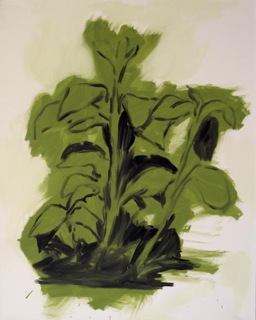 Planta, 2014, óleo sobre