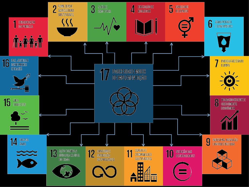 Camara Temática ODS 17