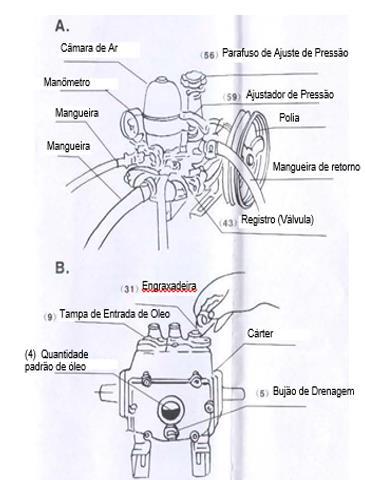 INFORMAÇÕES TÉCNICAS DO PRODUTO 1. Os produtos tem tamanho totalmente uniforme, de acordo com os requisitos especificados. 2.