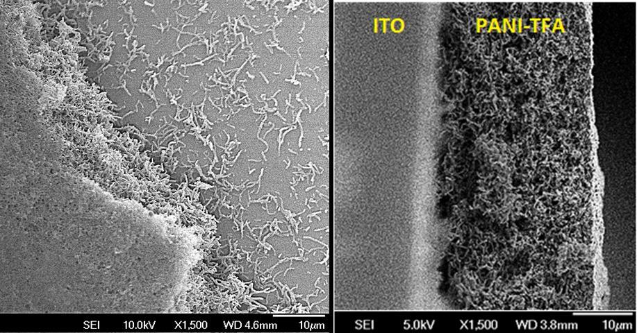 88 Figura 34. Imagens de MEV com aumentos de 1.500 X do filme de PANI-TFA depositados em 0.8 V (vs SCE) sobre ITO (A=0,28 cm²), com carga de 500 mc.